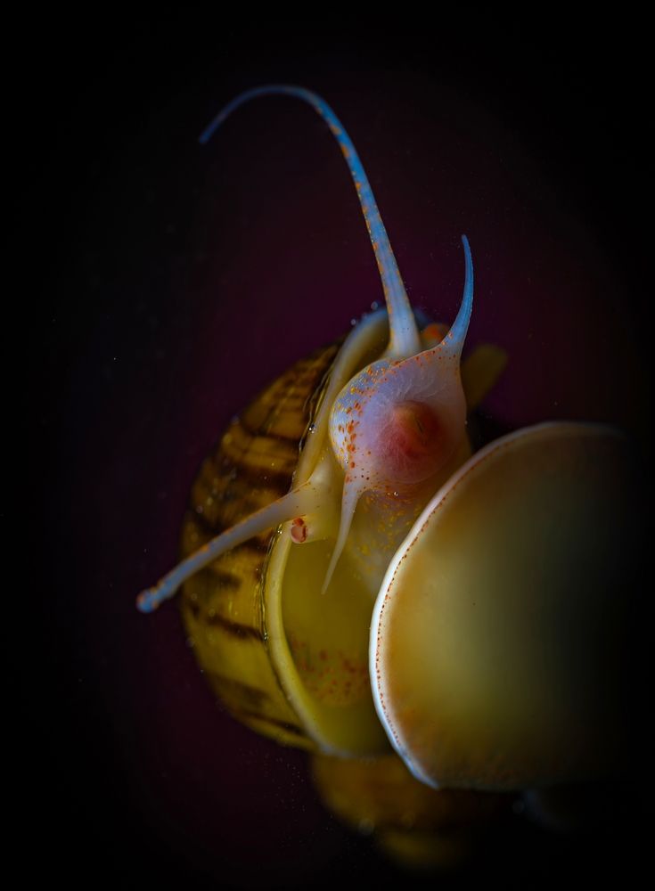 Photograph by Сергей Басов