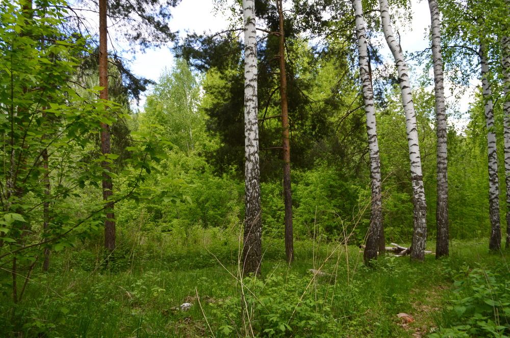 Фотография автора Клавдия Васильева