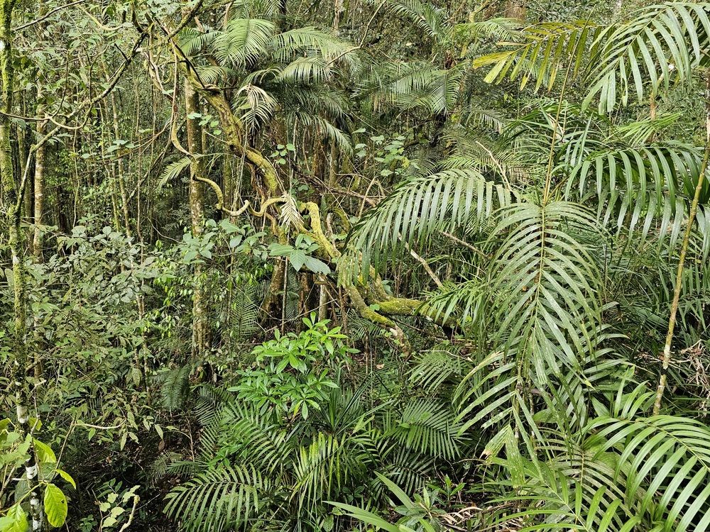 Photograph by Вадим Богатиков