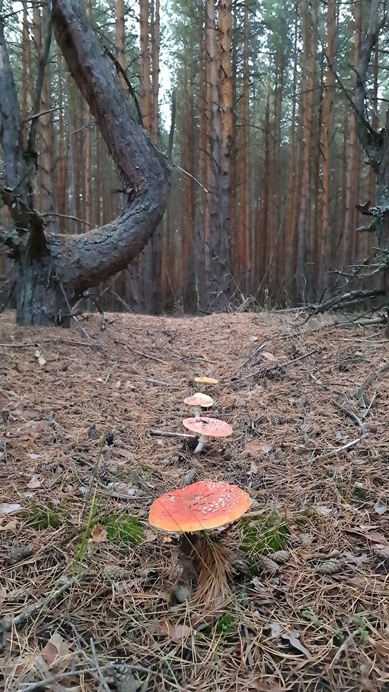 Photograph by Вадим Богатиков