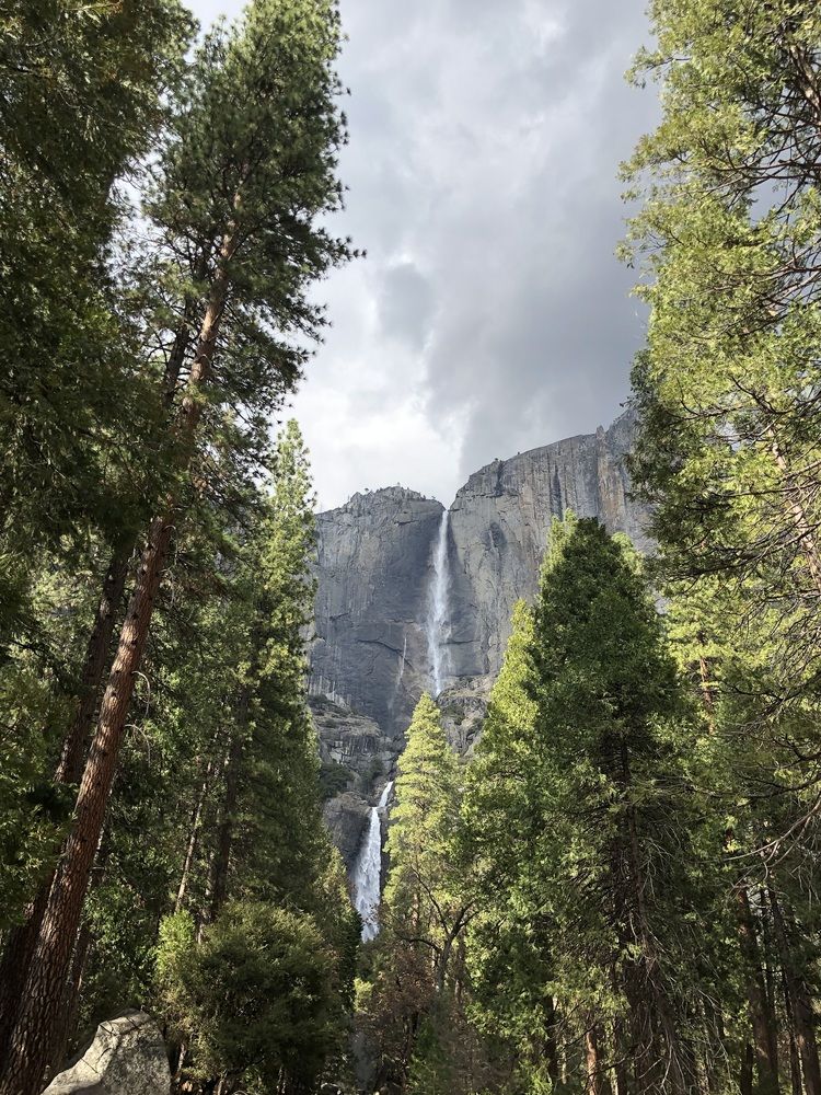 Фотография автора Марина Верба