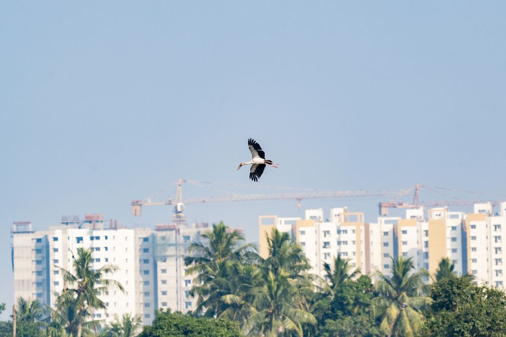 Photograph by Amit Ghosh