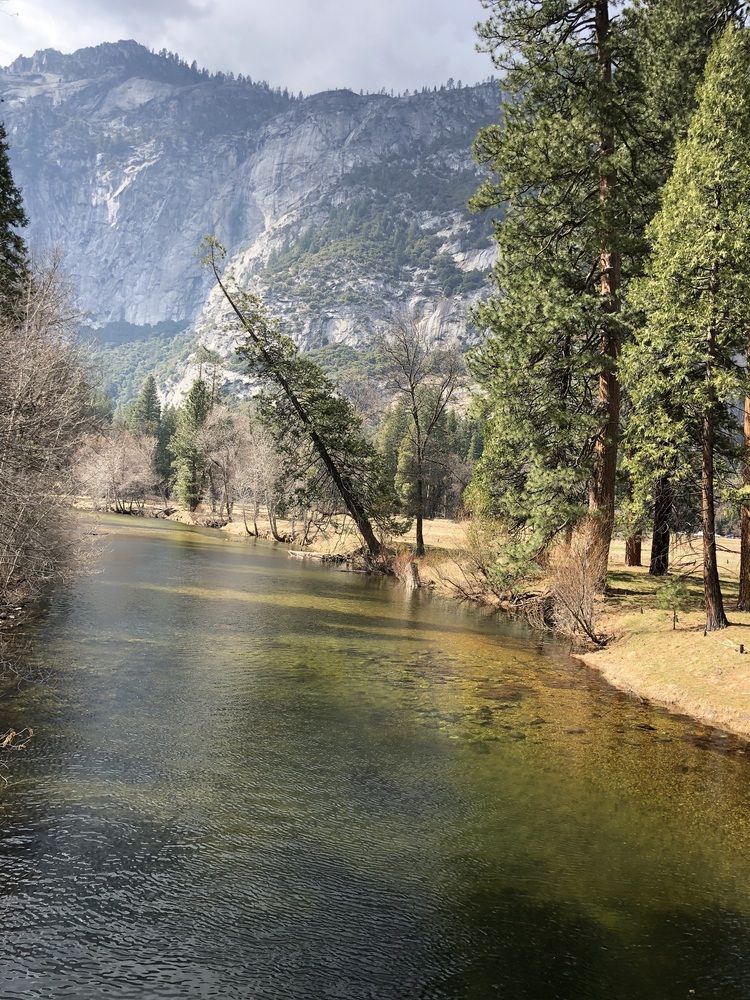 Фотография автора Марина Верба