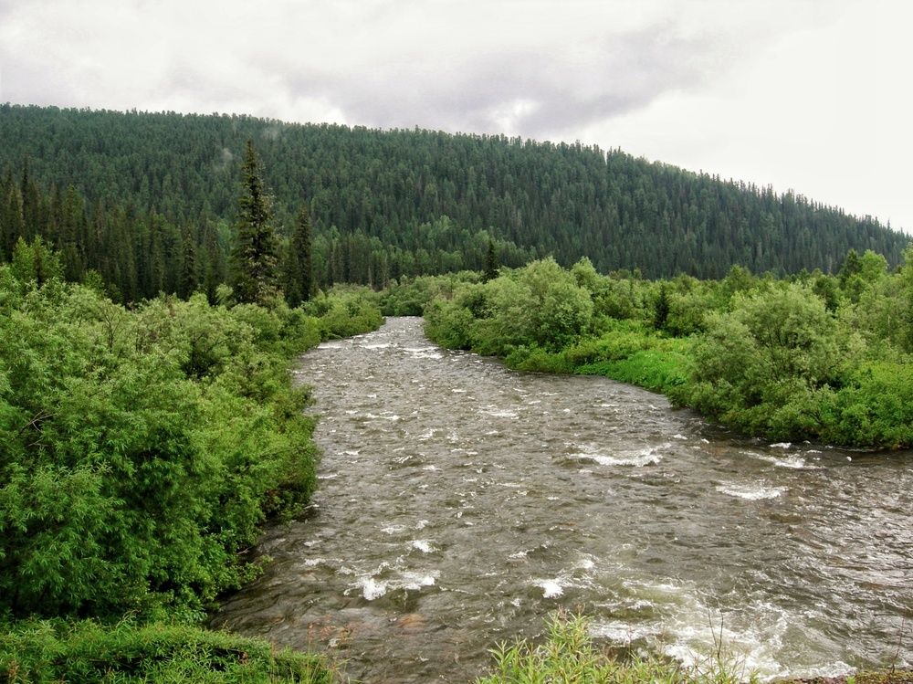 Photograph by Олеся Хижко