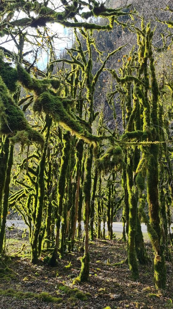 Photograph by Вадим Богатиков