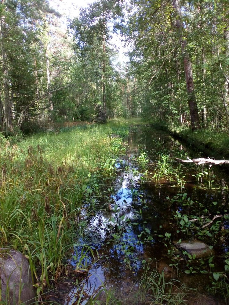 Photograph by Анна Курбатова