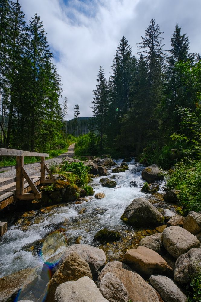 Фотография автора Elvijs Kalnins