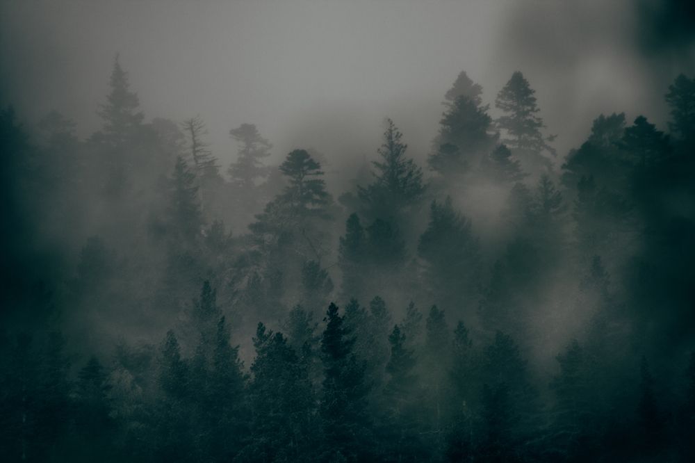 Фотография автора OXANA MARSOVA