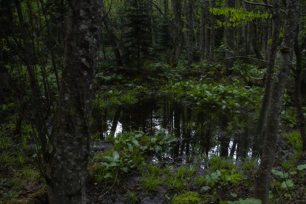 Фотография автора OXANA MARSOVA