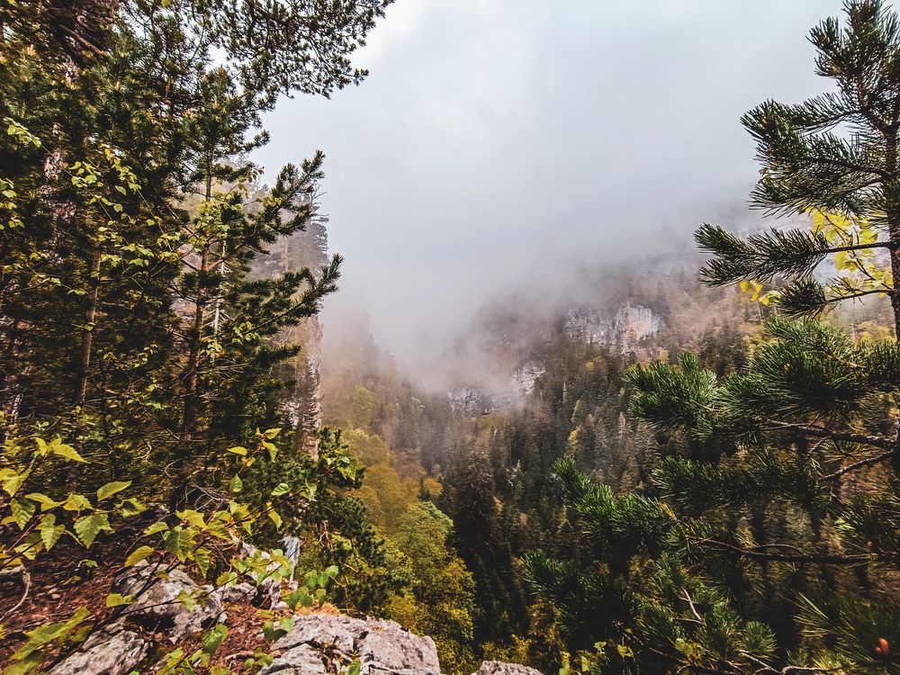 Фотография автора OXANA MARSOVA