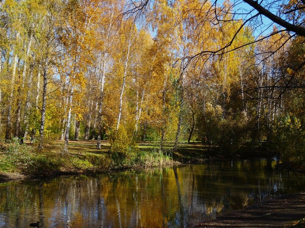 Photograph by Марина Раткун