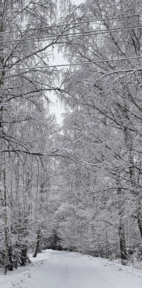 Фотография автора Ксанка Севостьянова