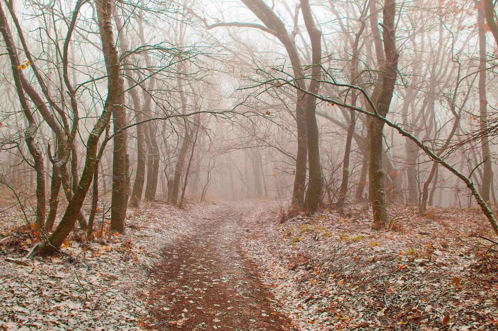 Photograph by Александр