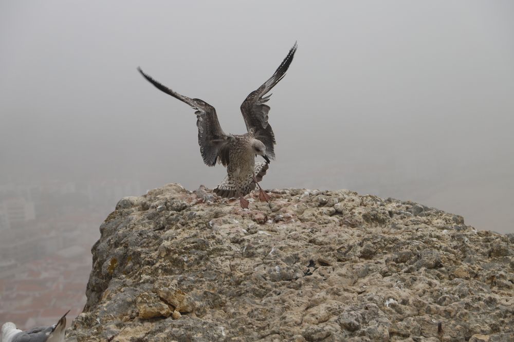 Photograph by Евгений Рабинович