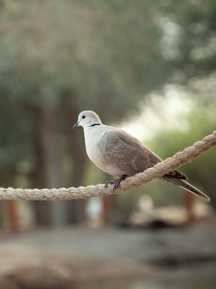 Photograph by Мозжухин Максим