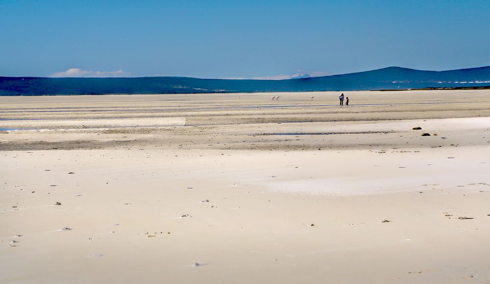 Photograph by Theo Landman