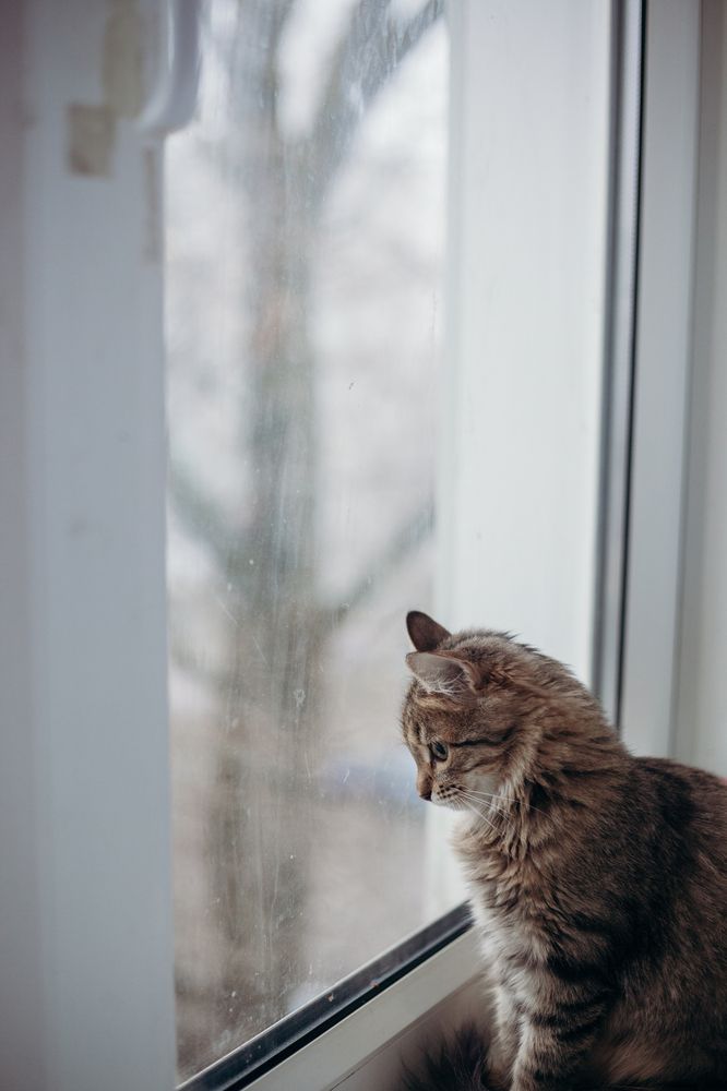 Photograph by Олеся