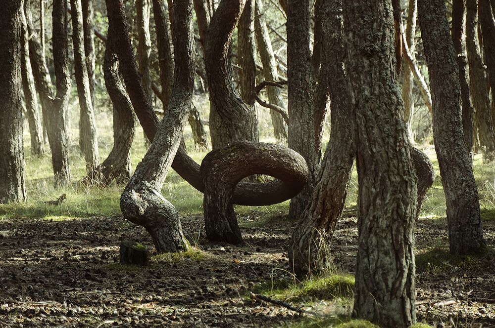 Photograph by Алексей Парамонов