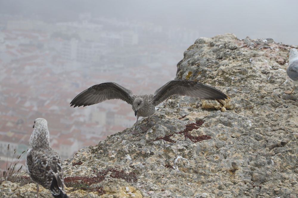 Photograph by Евгений Рабинович