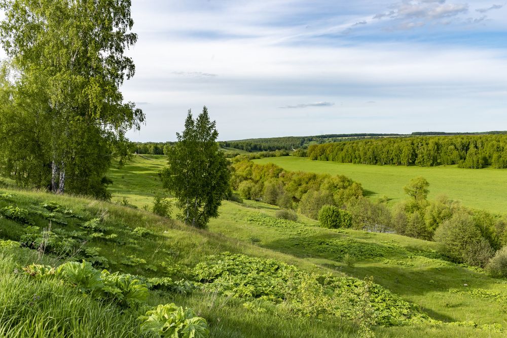 Photograph by Владимир Парсяк