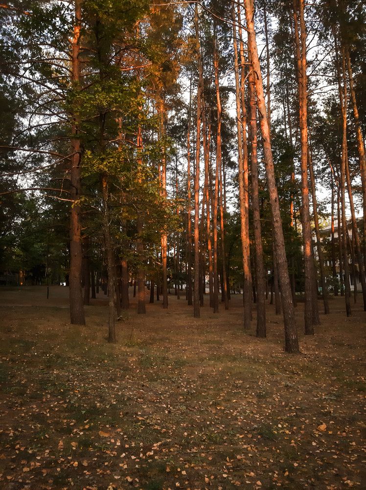 Photograph by Юлия Закопайло