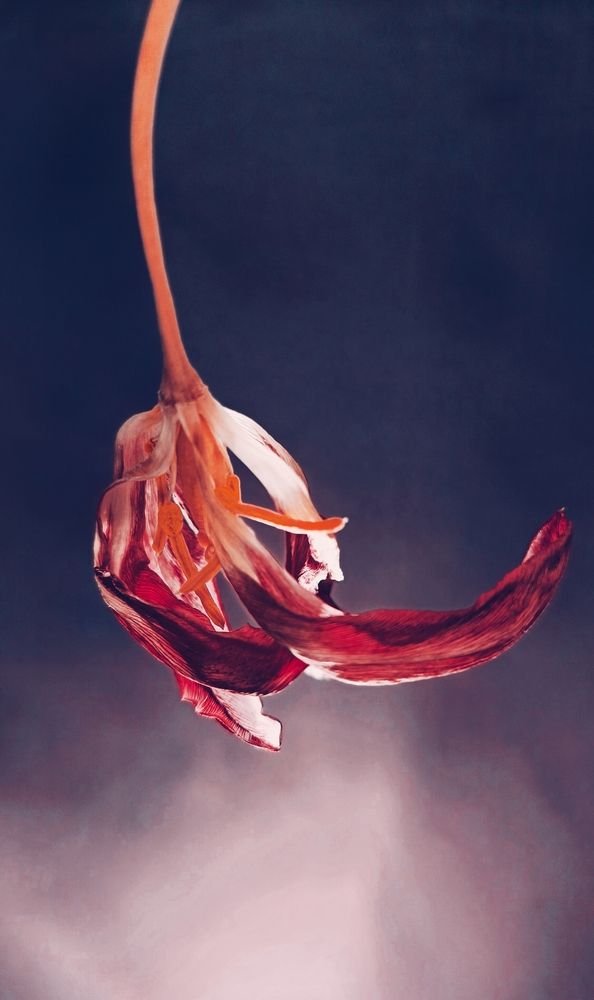 Photograph by Татьяна Пятернёва