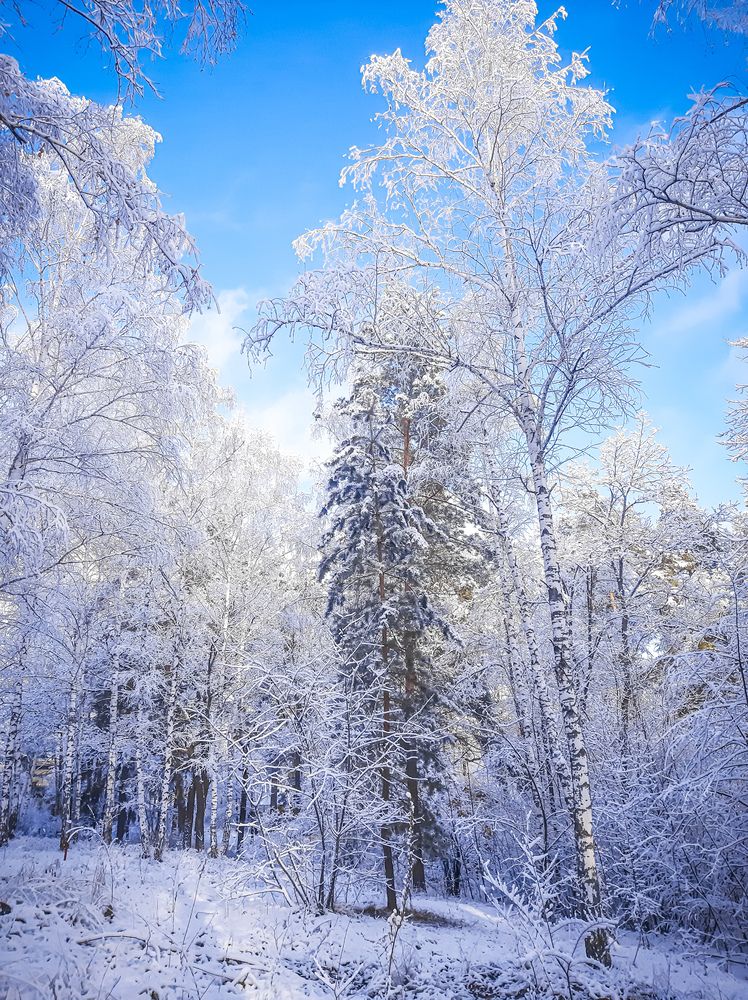 Photograph by Юлия Закопайло