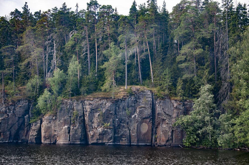 Карельский лес