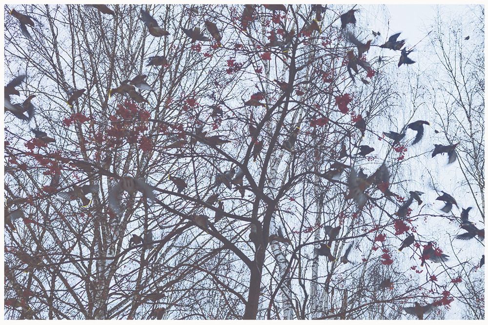 Photograph by миша