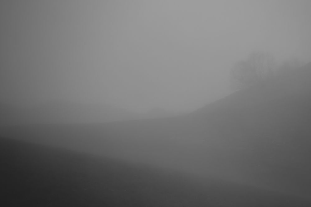 Фотография автора OXANA MARSOVA