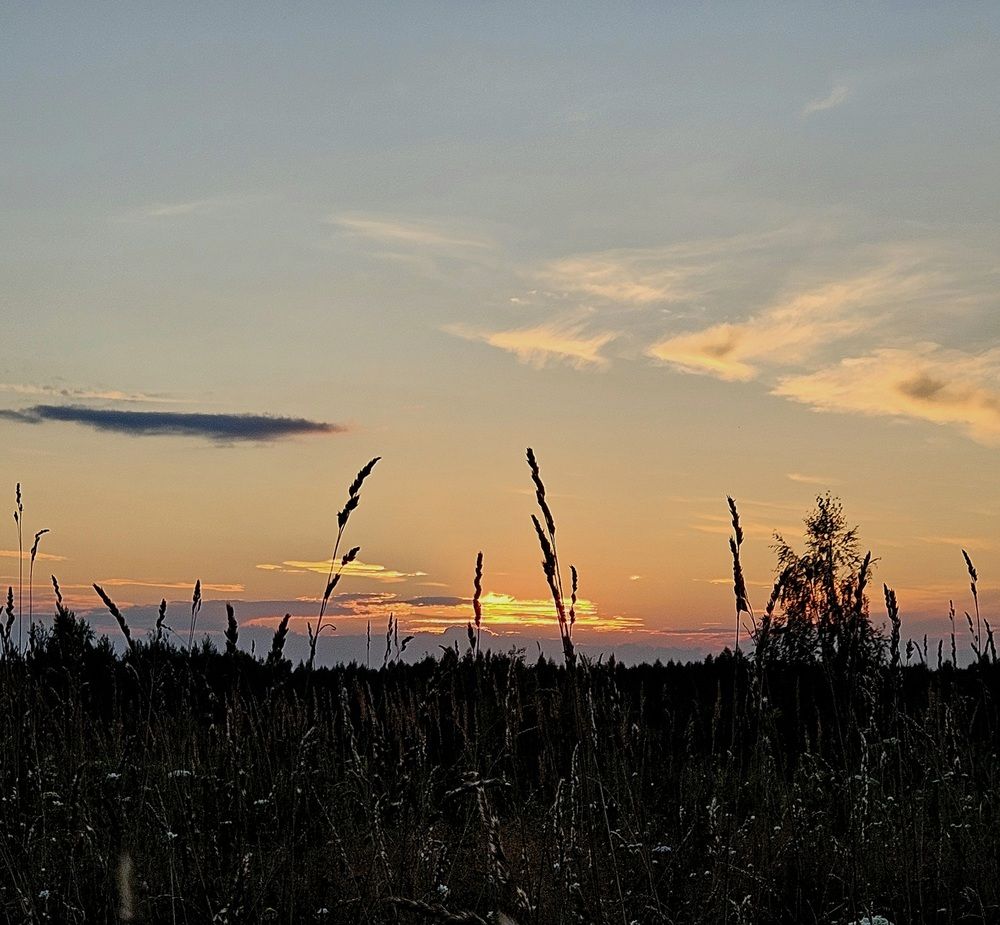 Photograph by Ирина Агинская