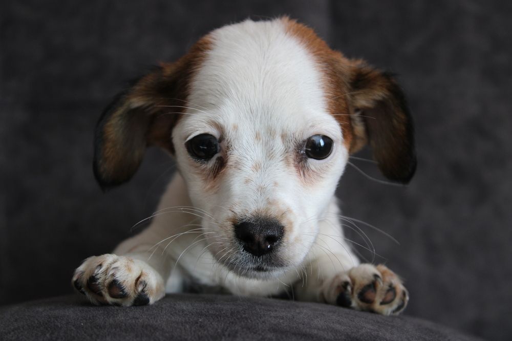 Photograph by Юлия Чурина