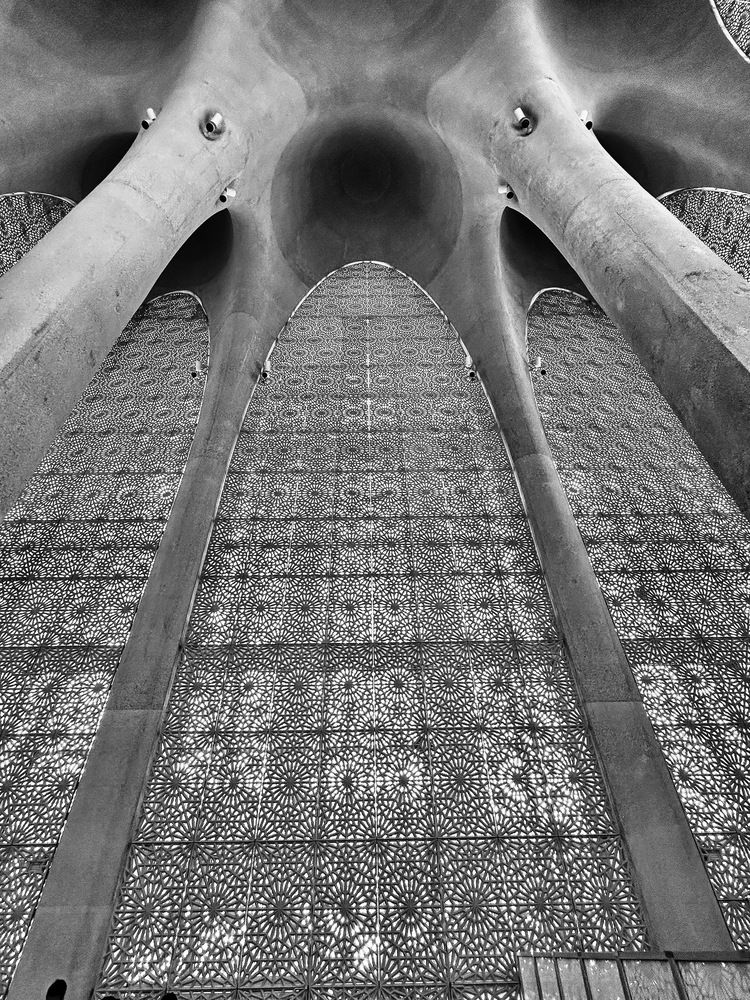 Photograph by Dakeel Aljedaie