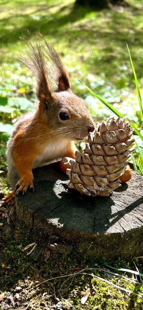 Photograph by Ирина Швейнова