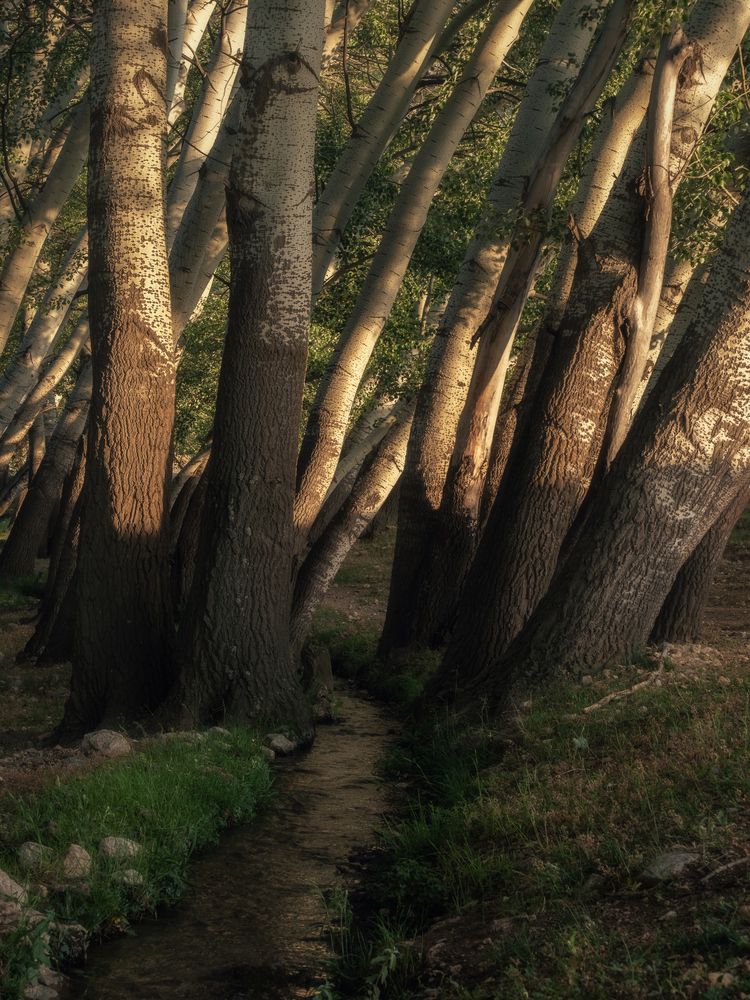 Photograph by Мозжухин Максим