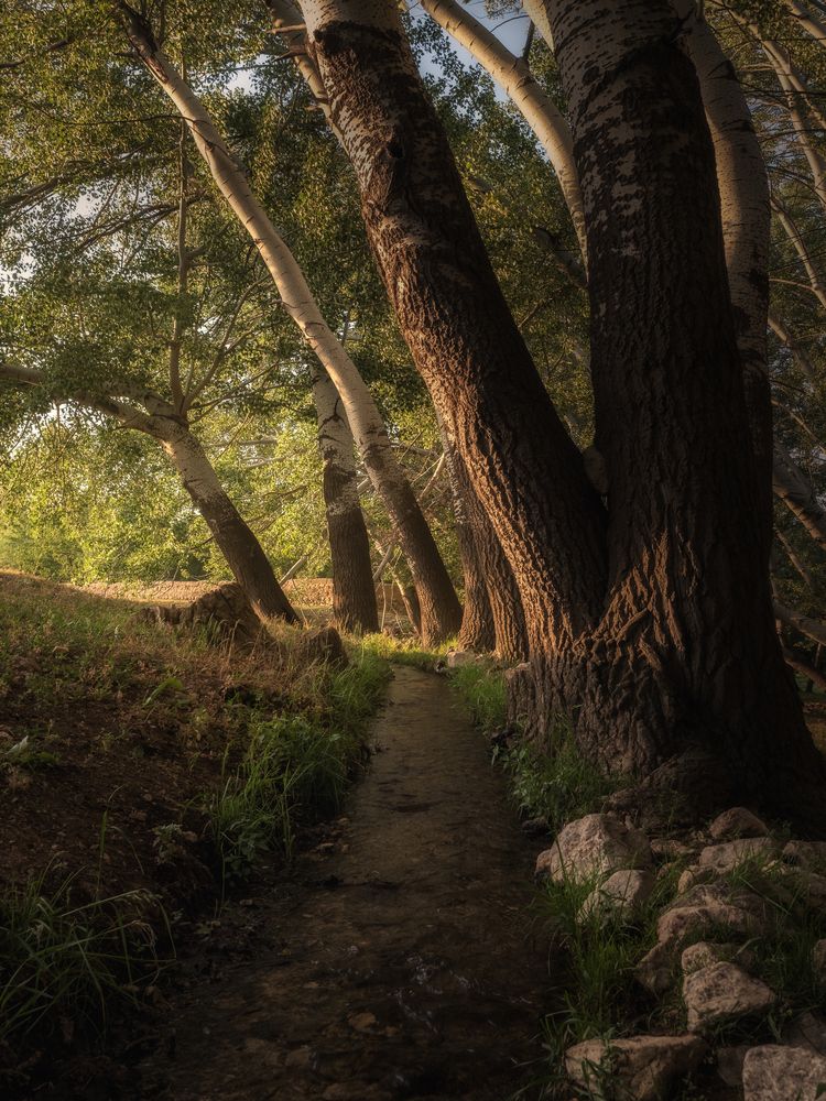 Photograph by Мозжухин Максим