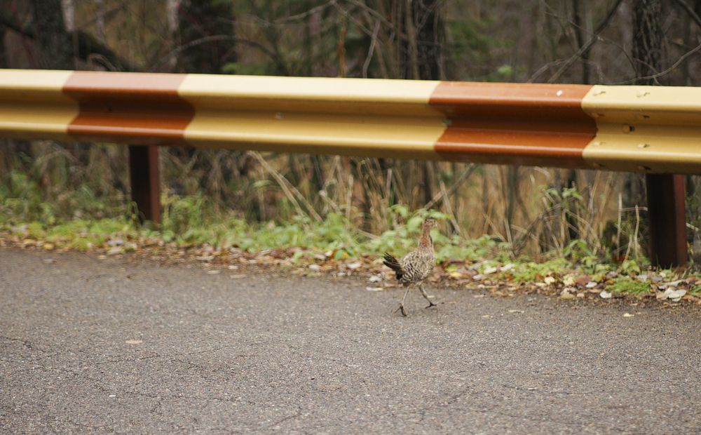 Photograph by Анна Воронова