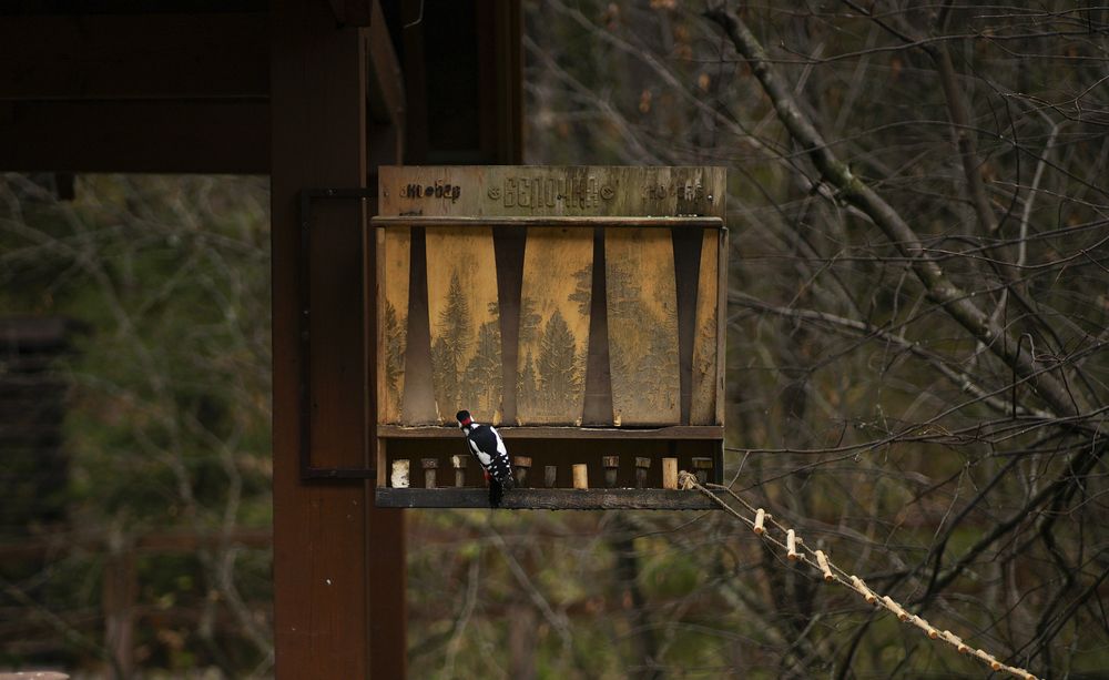 Photograph by Анна Воронова