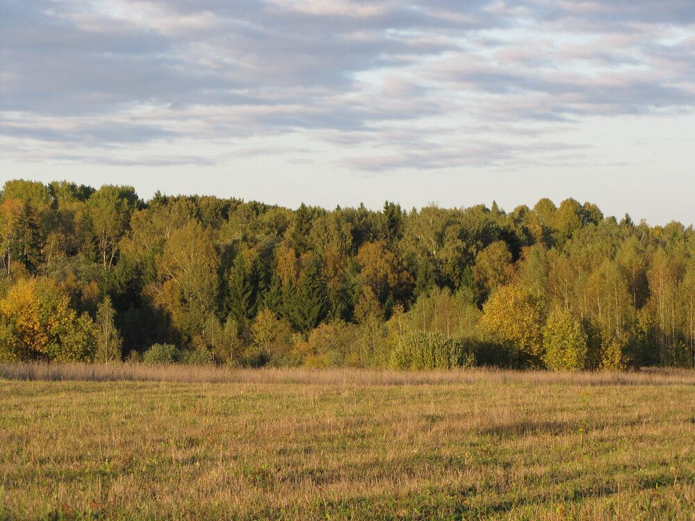 Фотография автора Кузьмичева Екатерина Васильевна