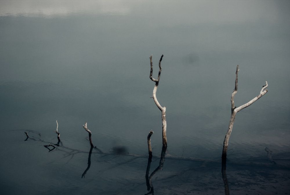 Photograph by Ольга Денисова