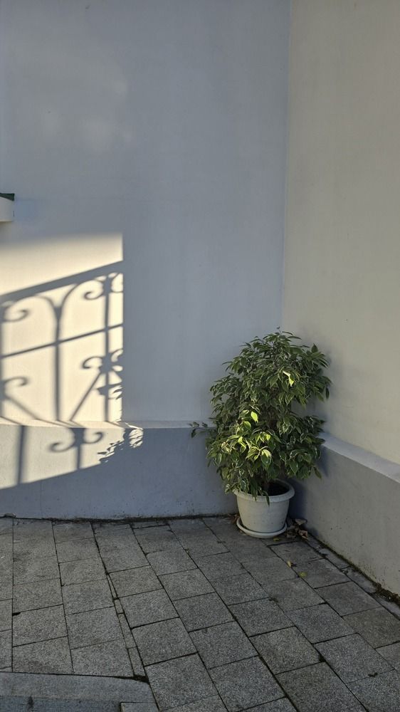 Фотография автора Анна Хейфиц