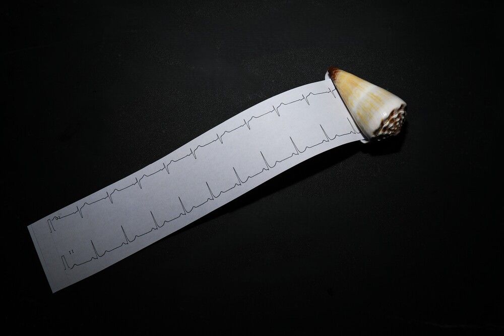 Photograph by Владимир Грибков