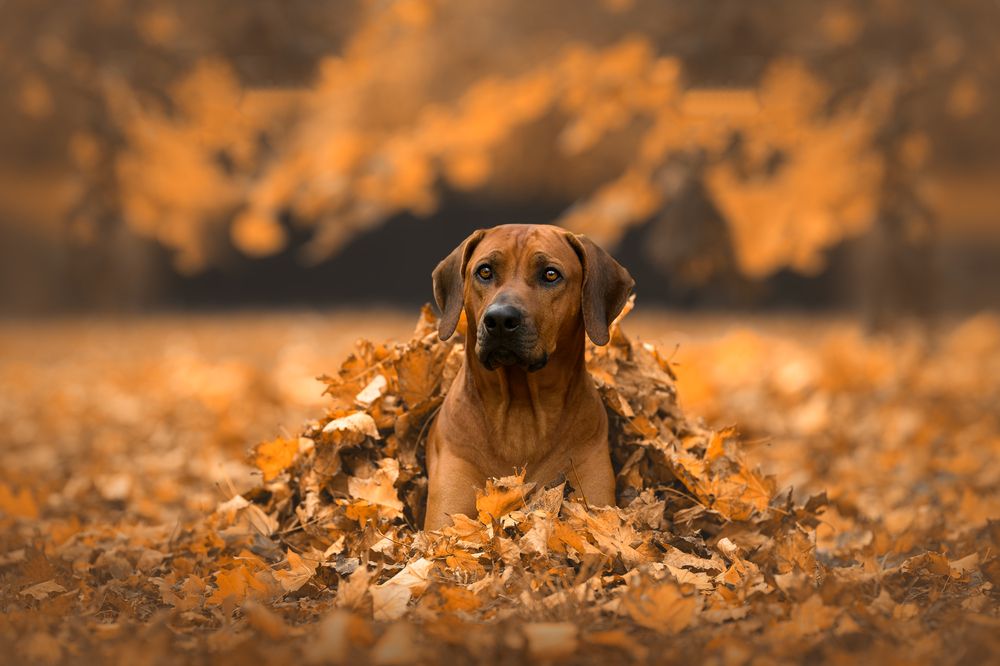 Photograph by Lucie Nermuťová