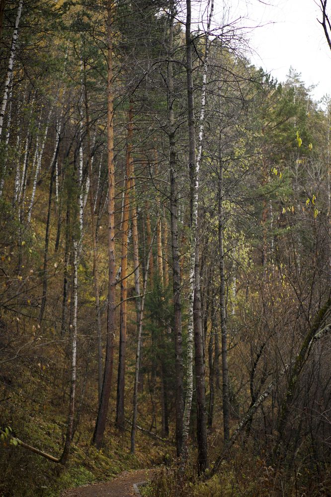 Photograph by Анна Воронова