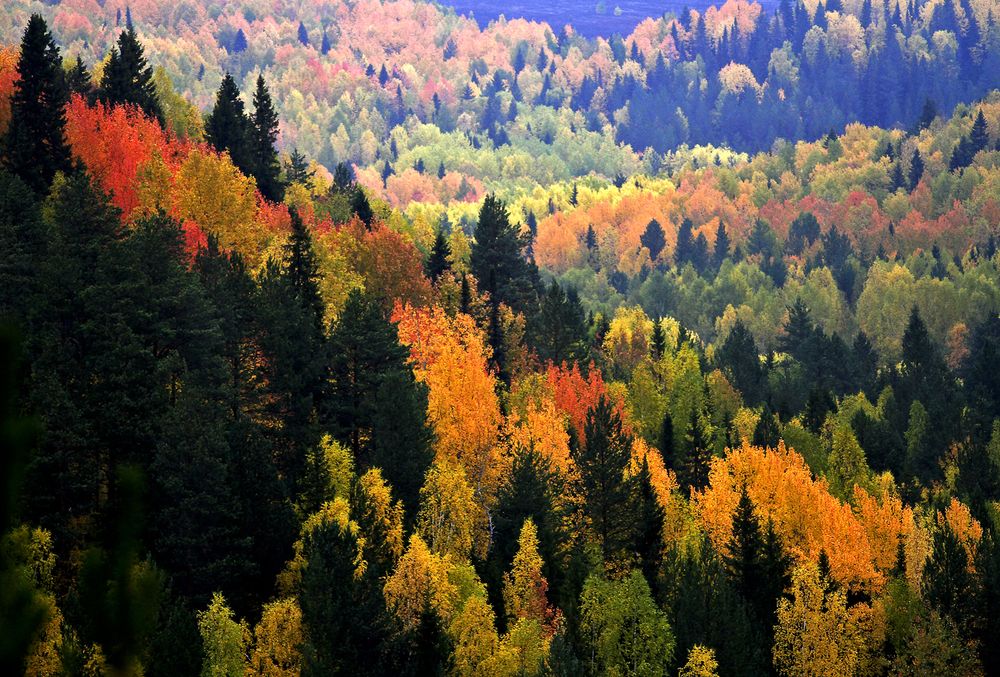 Photograph by Сергей Уржумов