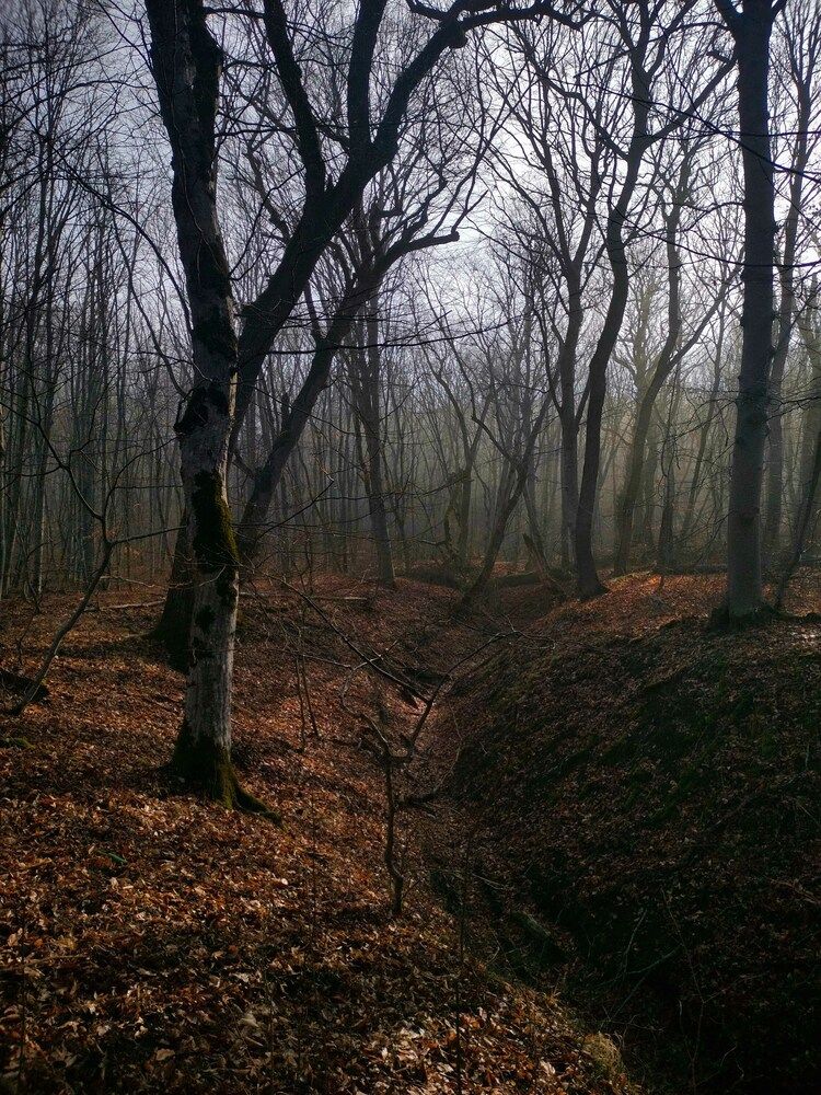 Photograph by Вадим Карпов