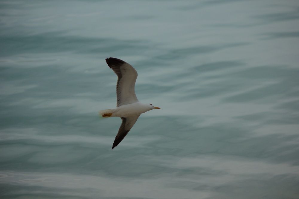 Photograph by Ольга Денисова