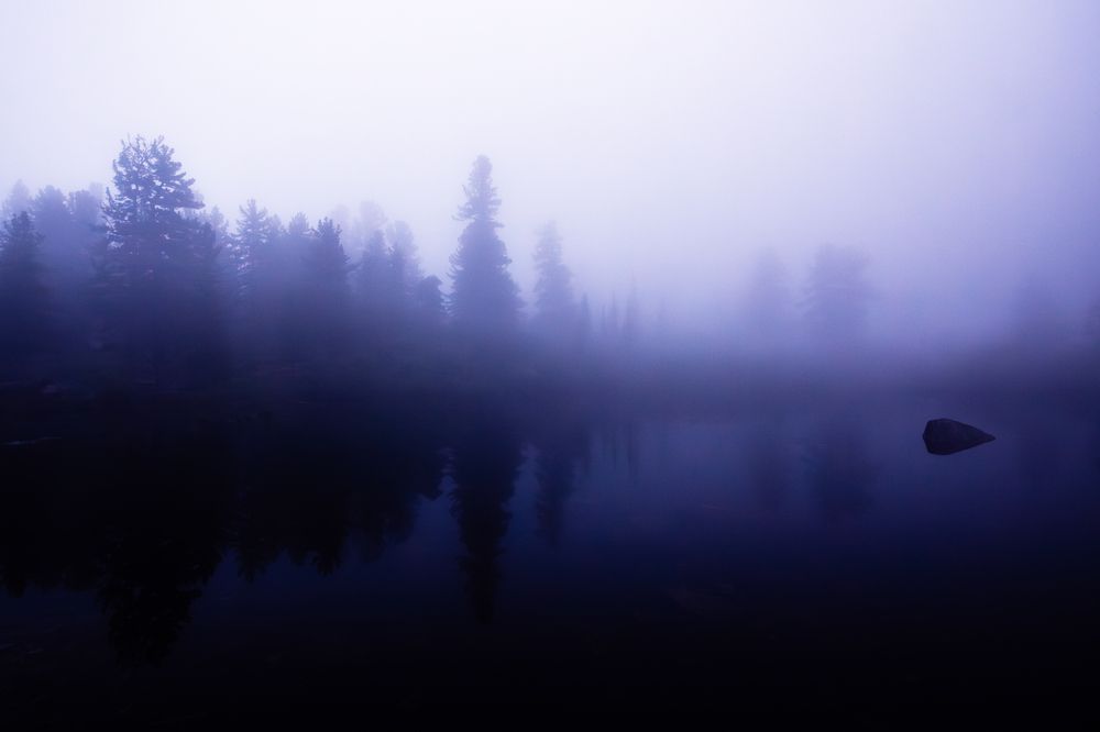 Photograph by Сергей Ларин