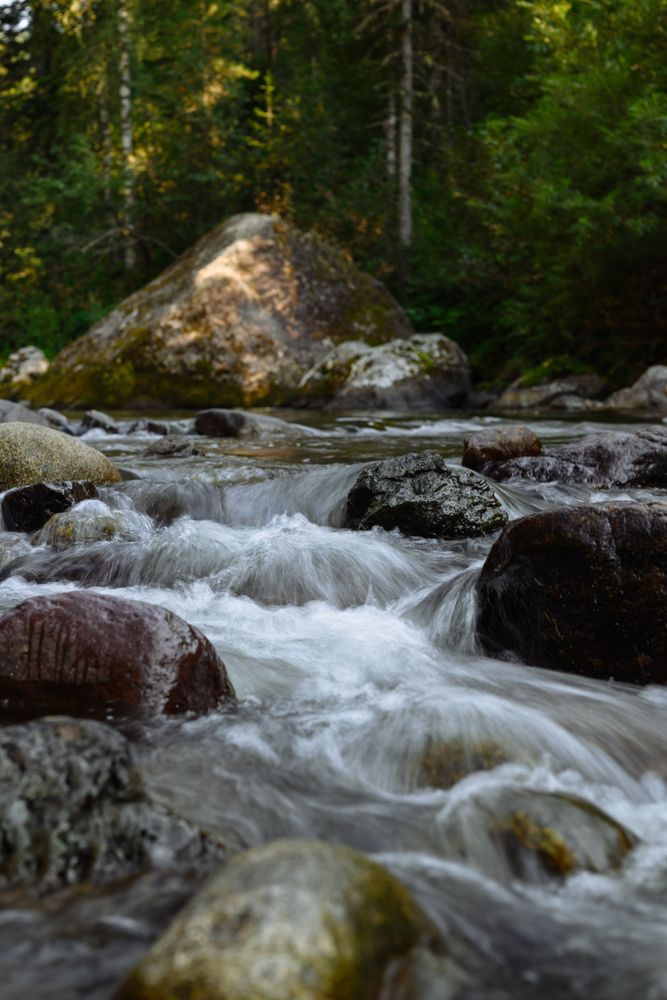 Фотография автора Анна Рыкова