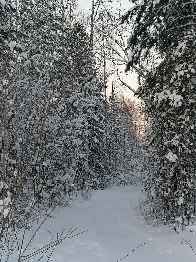 Photograph by Наталья Петухова